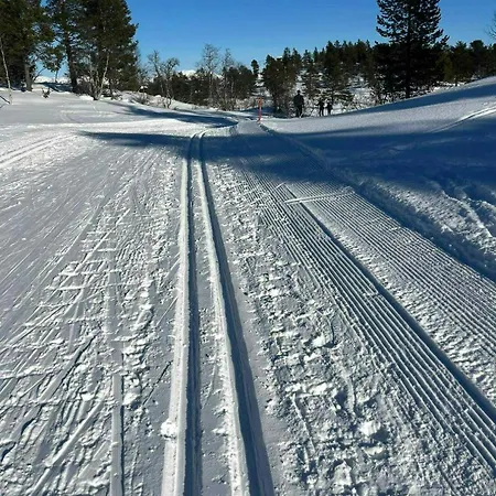 Hébergement de vacances With Inout And View Of Loefjell