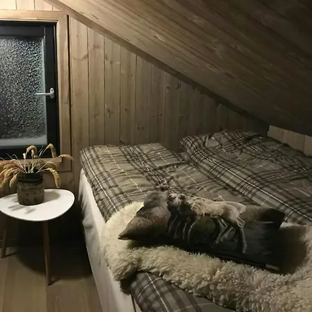 With Inout And View Of Loefjell Hébergement de vacances