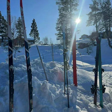 With Inout And View Of Loefjell *